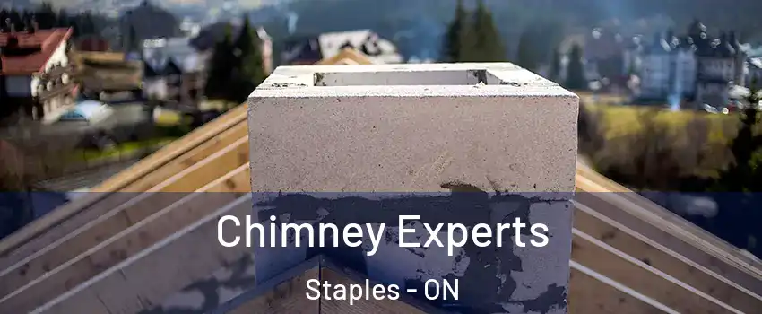  Chimney Experts Staples - ON