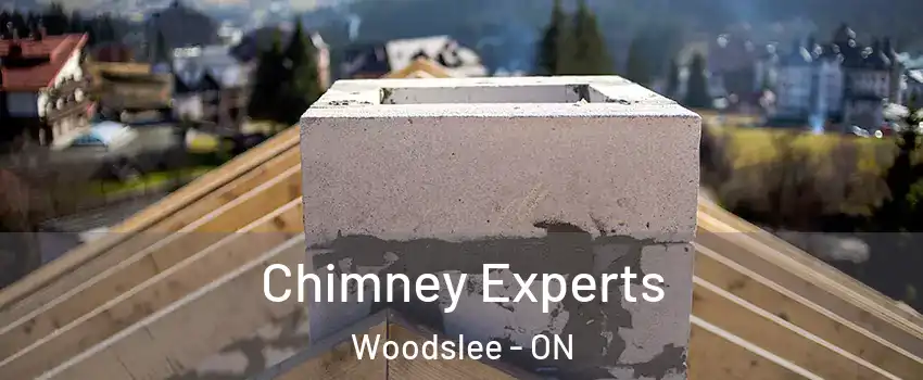 Chimney Experts Woodslee - ON