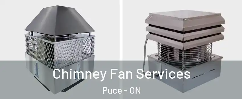  Chimney Fan Services Puce - ON