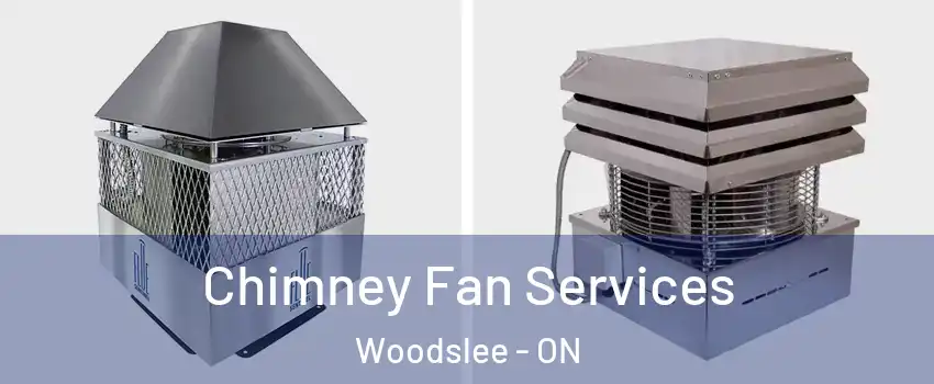  Chimney Fan Services Woodslee - ON