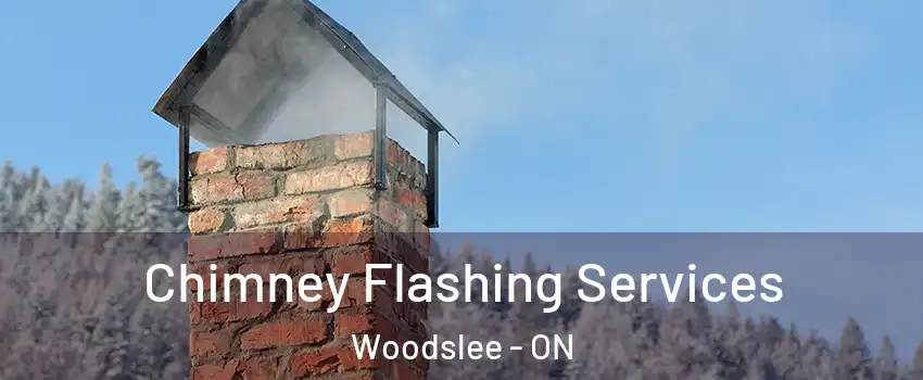 Chimney Flashing Services Woodslee - ON