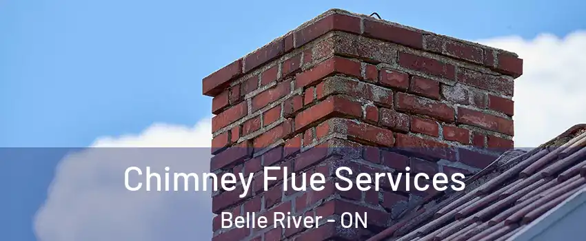  Chimney Flue Services Belle River - ON