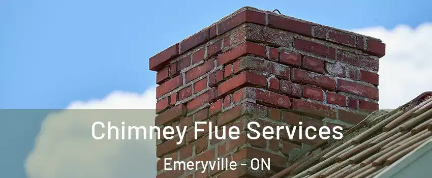  Chimney Flue Services Emeryville - ON