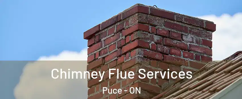  Chimney Flue Services Puce - ON