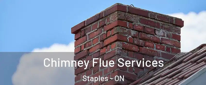  Chimney Flue Services Staples - ON