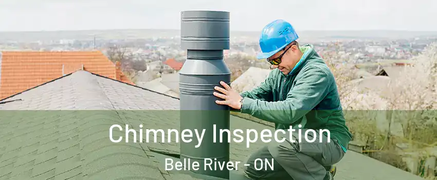  Chimney Inspection Belle River - ON