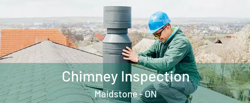  Chimney Inspection Maidstone - ON