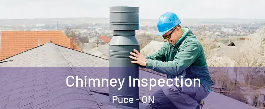  Chimney Inspection Puce - ON