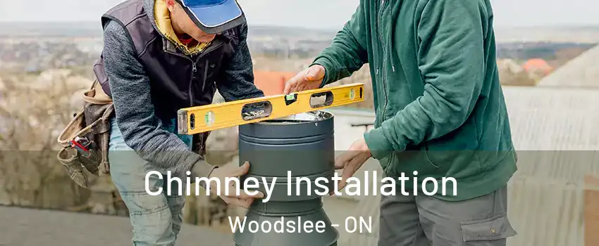  Chimney Installation Woodslee - ON