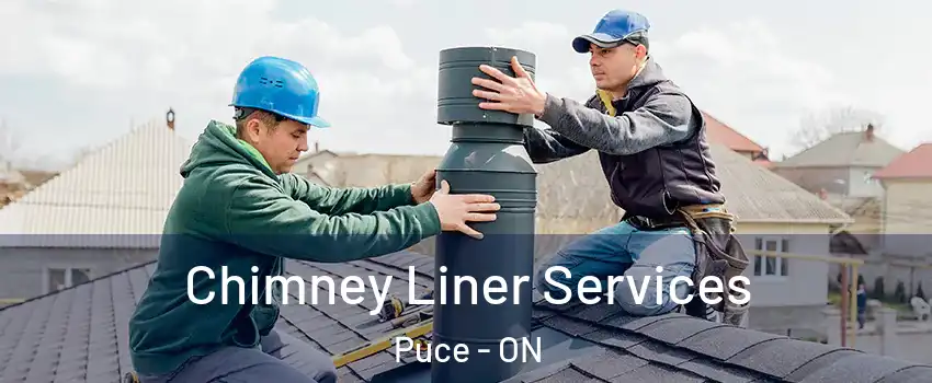  Chimney Liner Services Puce - ON