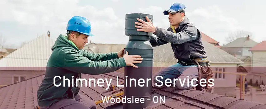  Chimney Liner Services Woodslee - ON