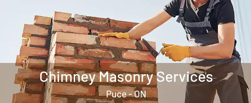  Chimney Masonry Services Puce - ON
