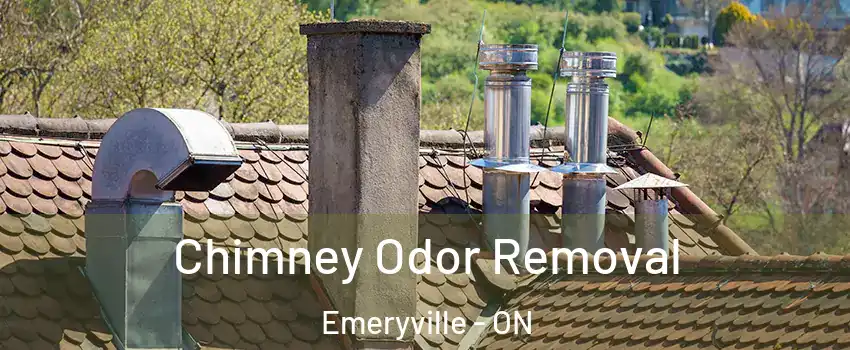 Chimney Odor Removal Emeryville - ON