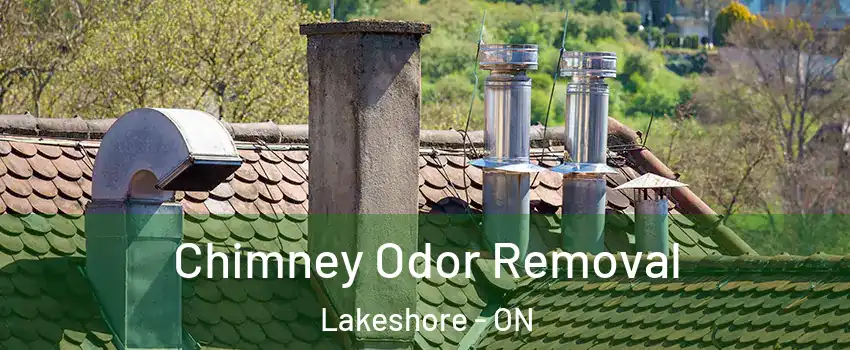  Chimney Odor Removal Lakeshore - ON