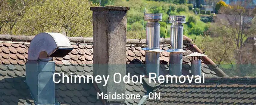  Chimney Odor Removal Maidstone - ON