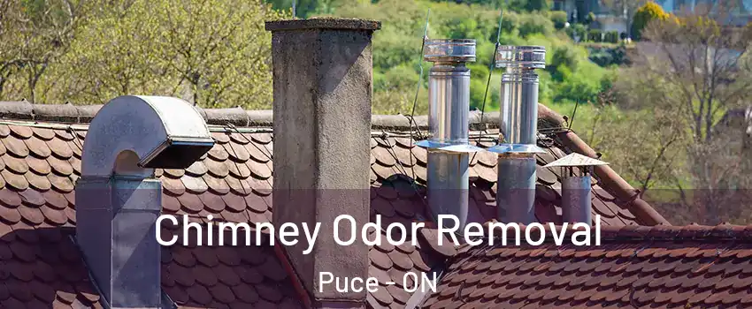  Chimney Odor Removal Puce - ON