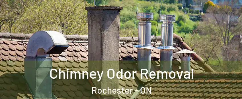  Chimney Odor Removal Rochester - ON
