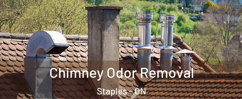  Chimney Odor Removal Staples - ON