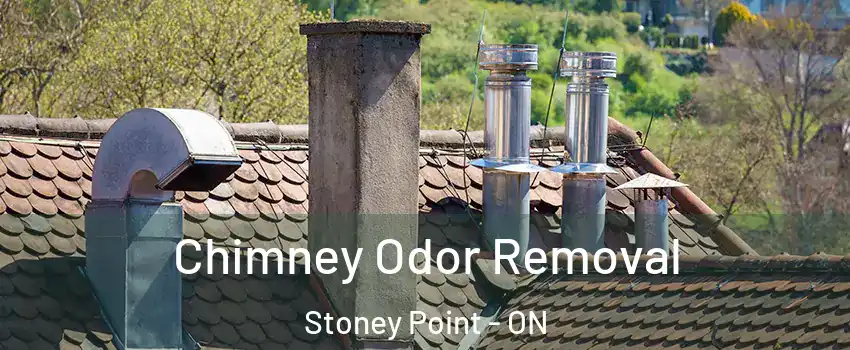  Chimney Odor Removal Stoney Point - ON