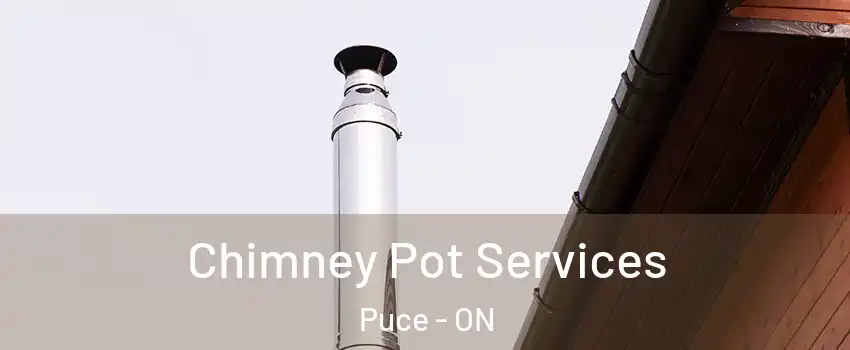  Chimney Pot Services Puce - ON