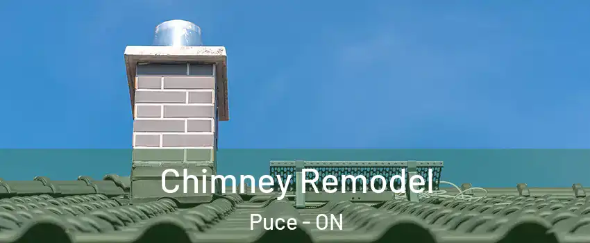  Chimney Remodel Puce - ON