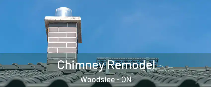  Chimney Remodel Woodslee - ON