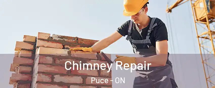  Chimney Repair Puce - ON