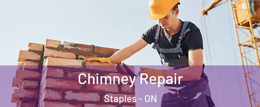  Chimney Repair Staples - ON