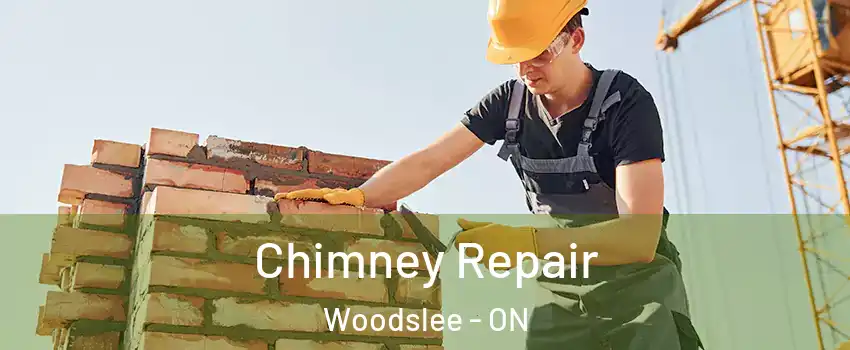  Chimney Repair Woodslee - ON