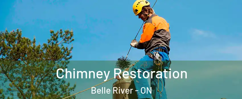  Chimney Restoration Belle River - ON