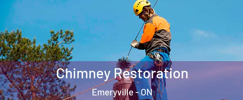  Chimney Restoration Emeryville - ON