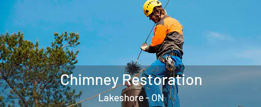  Chimney Restoration Lakeshore - ON