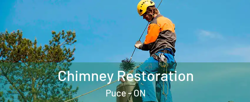  Chimney Restoration Puce - ON