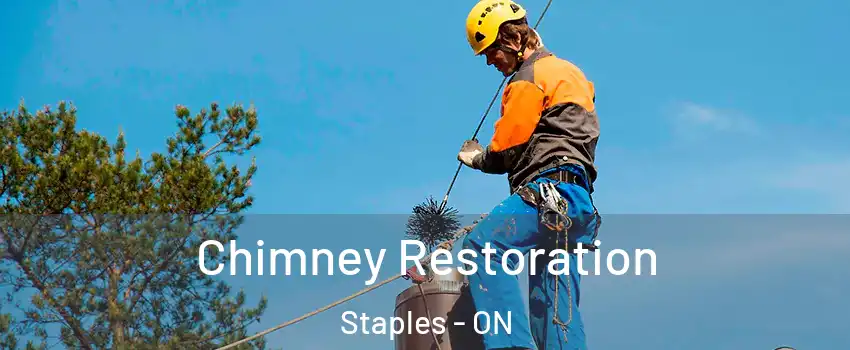  Chimney Restoration Staples - ON