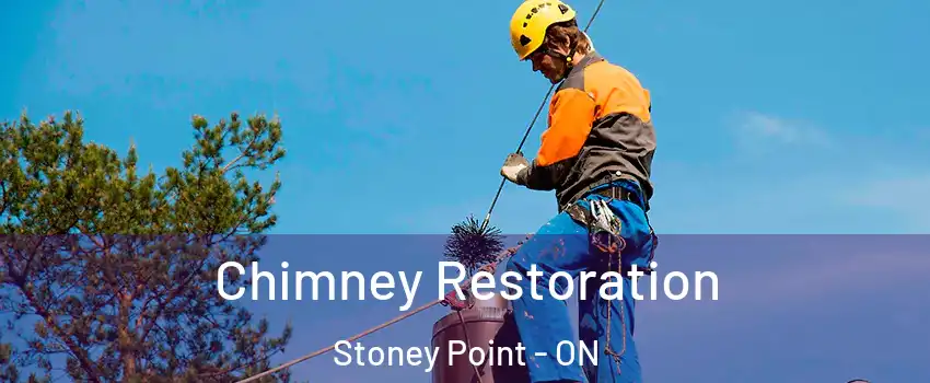  Chimney Restoration Stoney Point - ON