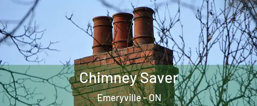  Chimney Saver Emeryville - ON
