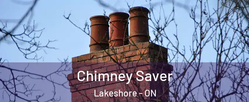  Chimney Saver Lakeshore - ON