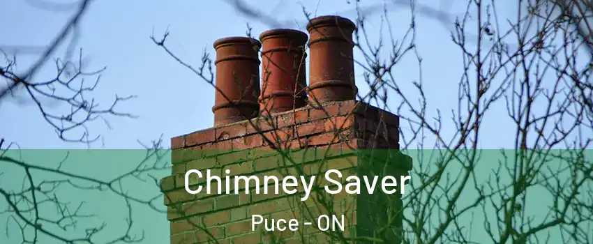  Chimney Saver Puce - ON