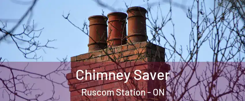 Chimney Saver Ruscom Station - ON