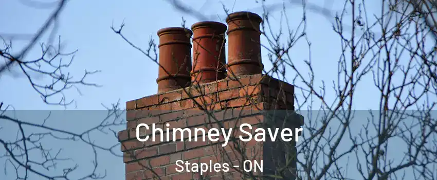  Chimney Saver Staples - ON