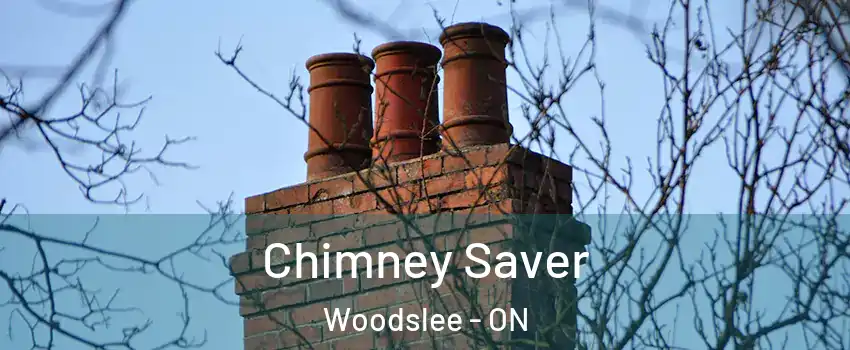  Chimney Saver Woodslee - ON