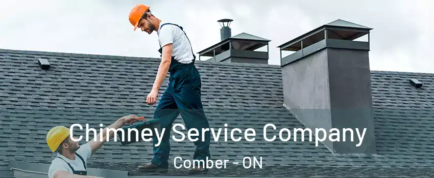  Chimney Service Company Comber - ON