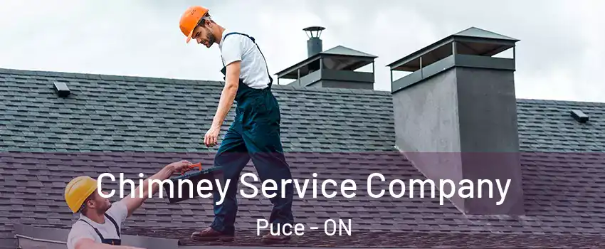  Chimney Service Company Puce - ON