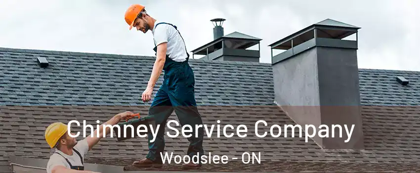  Chimney Service Company Woodslee - ON