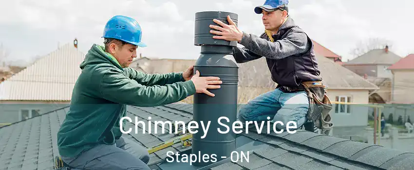  Chimney Service Staples - ON