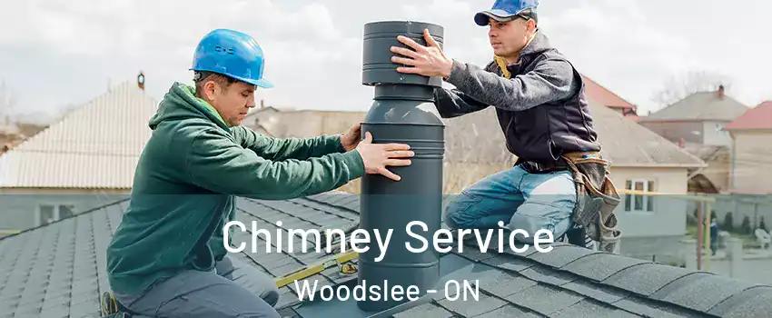  Chimney Service Woodslee - ON