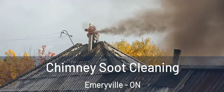  Chimney Soot Cleaning Emeryville - ON