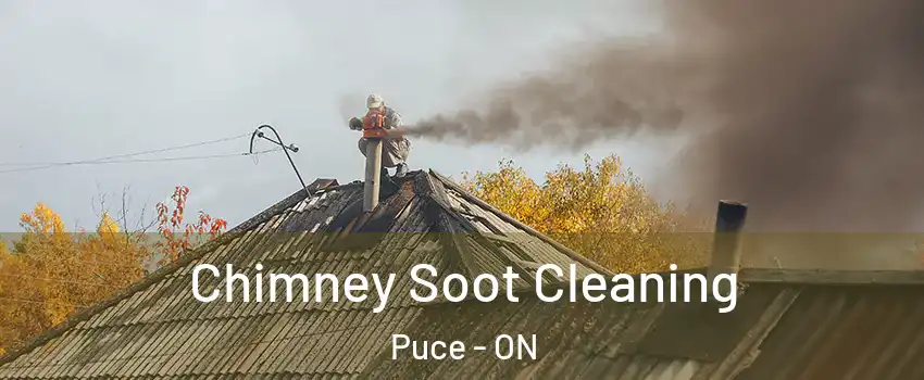  Chimney Soot Cleaning Puce - ON