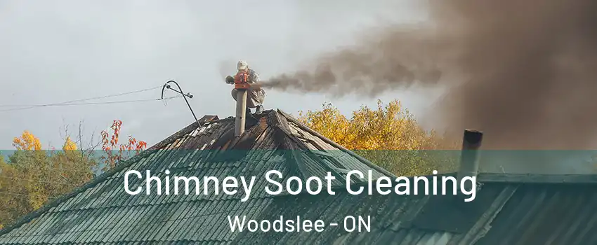  Chimney Soot Cleaning Woodslee - ON