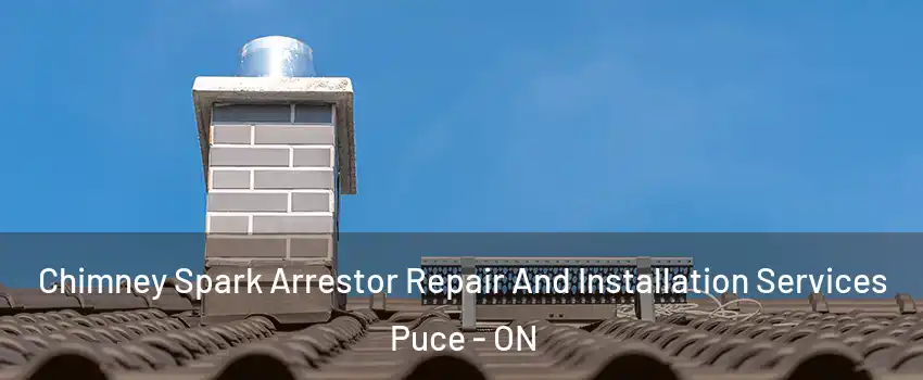  Chimney Spark Arrestor Repair And Installation Services Puce - ON